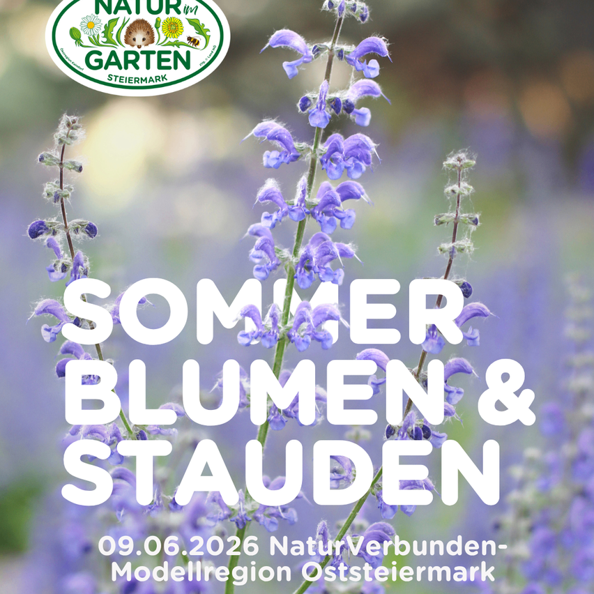 Werbung für Sommerblumen und Stauden. Die Veranstaltung wird vom Naturfreunde-Verein, Modellregion Oststeiermark am 9. Juni 2026 ausgerichtet.
