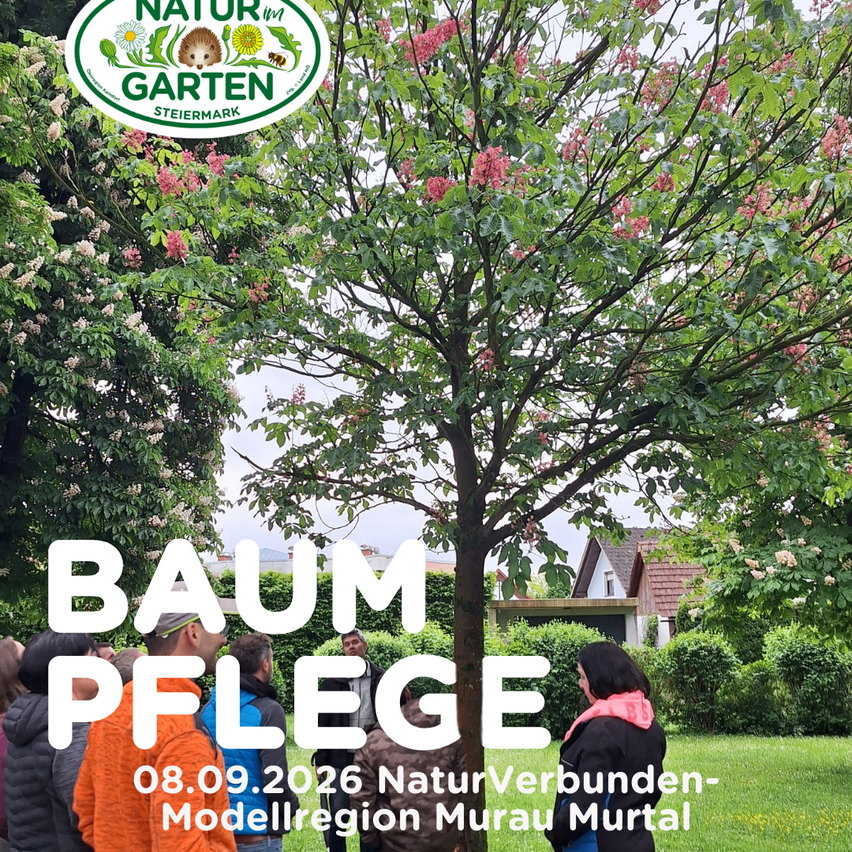 Werbeplakat für Baumpflege. Gruppe von Menschen steht unter einem Baum mit blühenden Blumen. Datum: 08.09.2026. Naturverbundene Modellregion Murau Murtal.