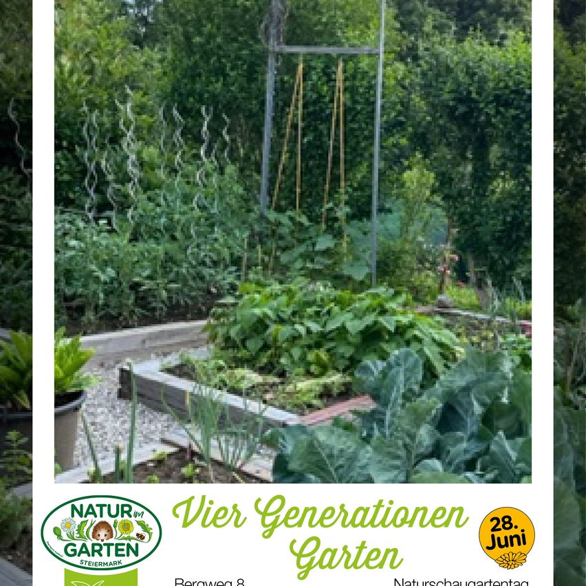 A community garden with multiple rows of vegetables and plants. A logo at the bottom reads 'Vier Generationen Garten' with a date '28. Juni'.