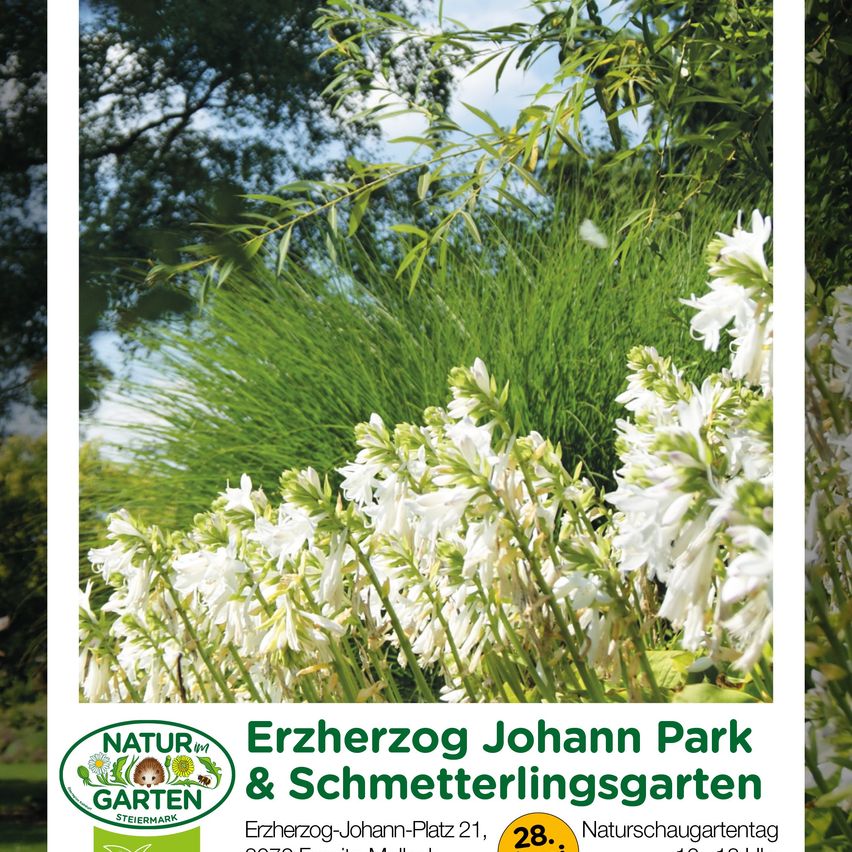 An image of Erzherzog Johann Park and Butterfly Garden. It features green plants, white flowers, and trees with a sunny sky in the background.
