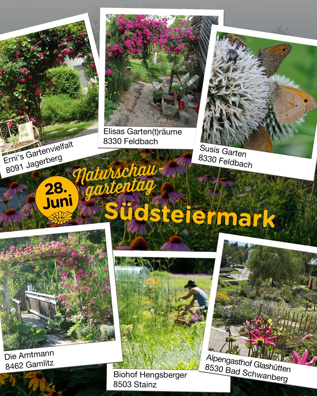 A collage of garden images from Naturschau Gartentag in Feldbach, including roses, butterflies, and gardens in June. It features a variety of floral displays and garden settings.