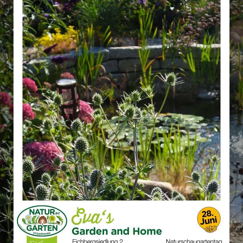 A garden scene with various flowers, a stone wall, and a pond with water lilies. Below is a logo for Eva's Garden and Home.