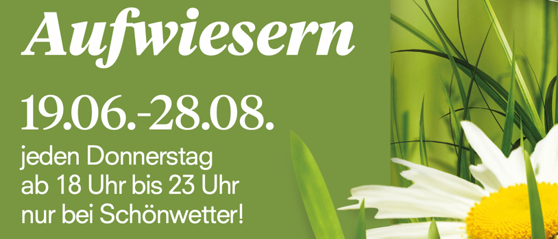 Werbung für ein Südsteiermark-Event mit Wein, Snacks und Live-Musik donnerstags vom 19. Juni bis 28. August, nur bei schönem Wetter. Besuchen Sie www.aufwiesern.at.