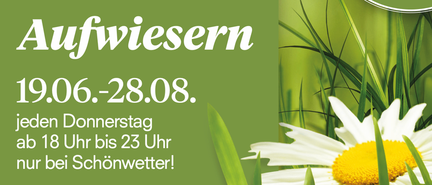 Ein Plakat bewirbt eine wöchentliche Veranstaltung in Südsteiermark vom 19. Juni bis 28. August. Die Veranstaltung umfasst Wein, Snacks und Live-Musik und ist freier Eintritt. Das Plakat hat einen grünen Hintergrund mit Gänseblümchen und einem weißen Rand.