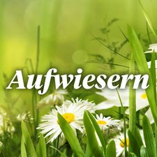 Aufwiesern-Logo