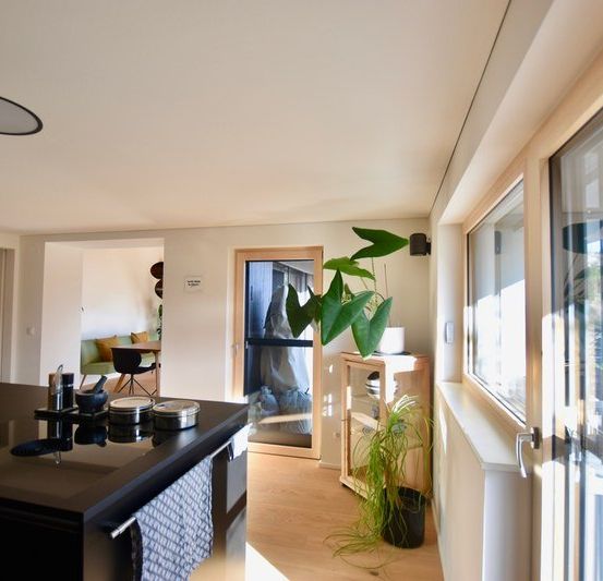 Eine moderne Küche mit schwarzem Arbeitsplatten und einer Pflanze. Eine Glastür führt zum Wohnbereich mit einem Tisch. Die Decke hat runde Lichter.