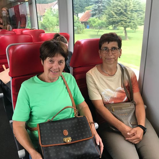 Bild enthält, Accessories, Bag, Handbag, Glasses, Adult, Female, Person, Woman, Portrait, T-Shirt