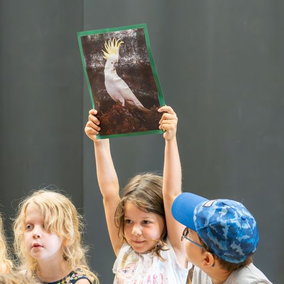 Bild enthält, Child, Female, Girl, Person, Hat, People, Face, Baseball Cap, Cap, Bird