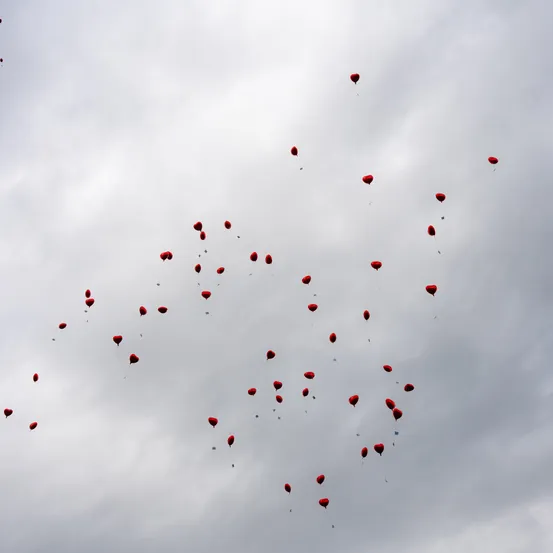 Animal, Flock, Balloon