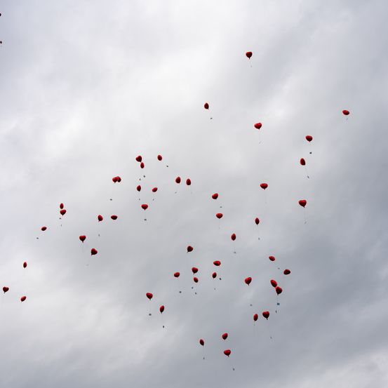 Bild enthält, Animal, Flock, Balloon