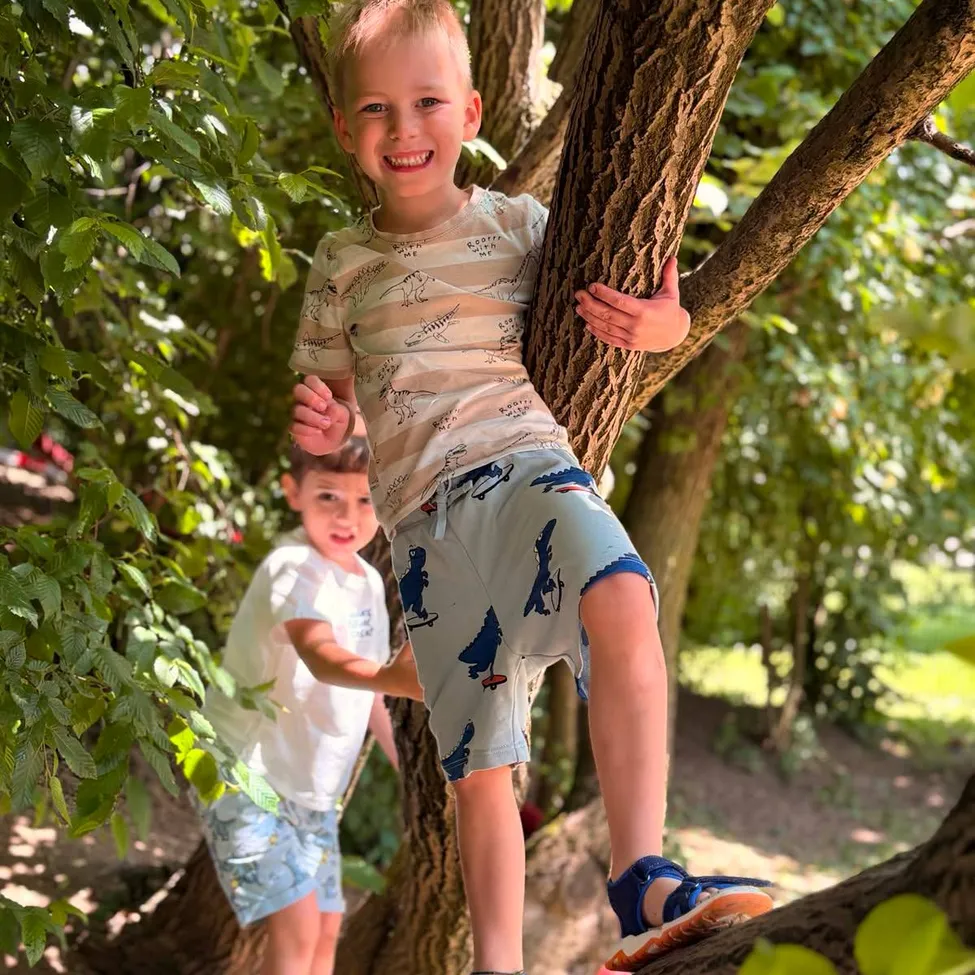 Zwei junge Jungen spielen in einem Baum. Ein Junge klettert, während der andere zusieht. Sie sind draußen in einem Park.