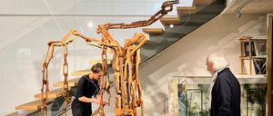 Bild enthält, Indoors, Museum, Adult, Male, Man, Person, Clothing, Coat, Lobster, Dagger