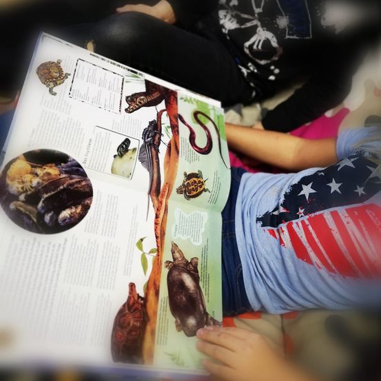 Bild enthält, T-Shirt, Person, Reading, Book, Publication, Advertisement, Poster, Text, Adult, Woman