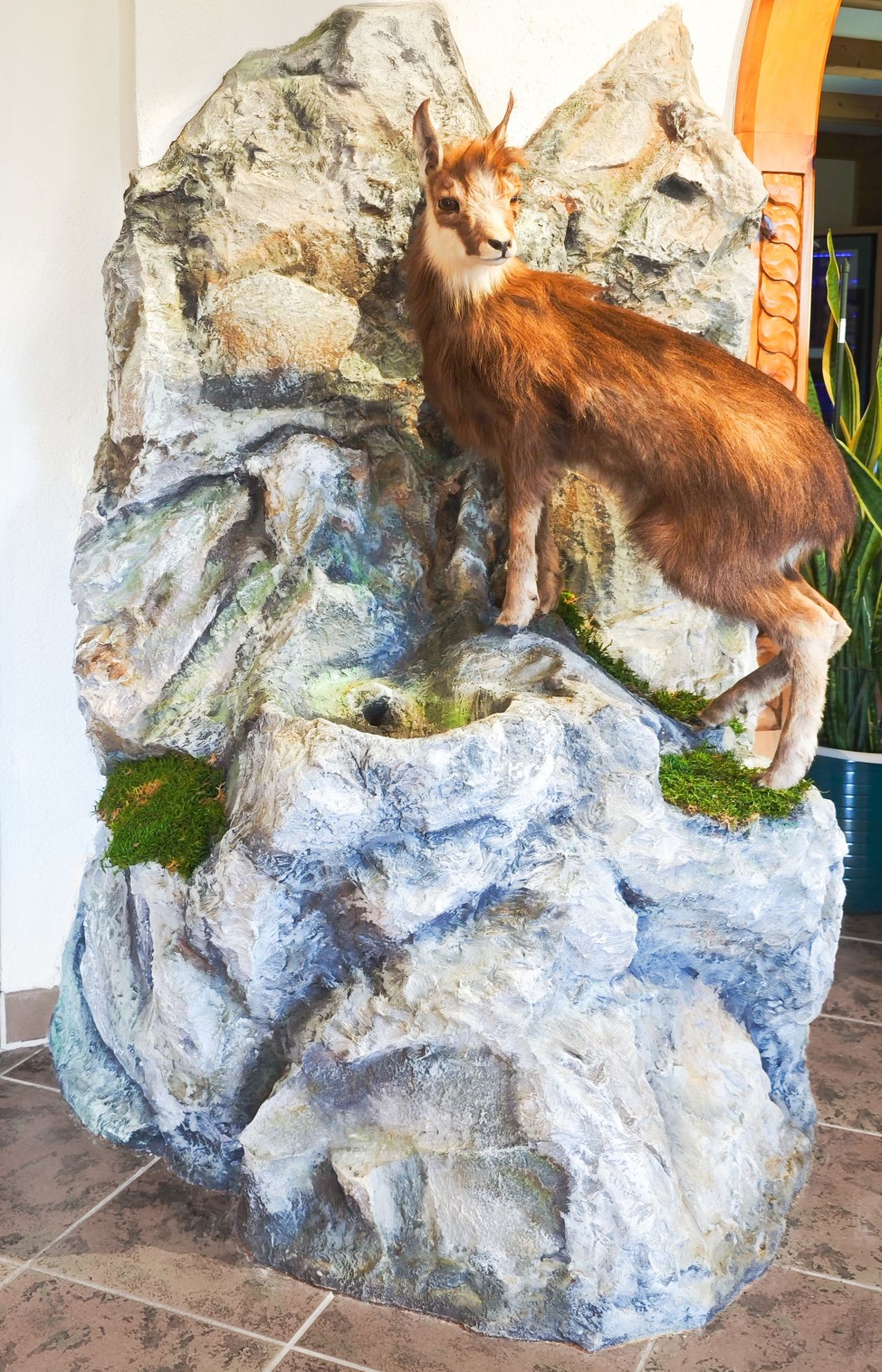 Ein ausgestopfter Hirsch steht auf einer Felsskulptur mit Moos und einer Wasserfunktion, in einem Raum mit einer weißen Wand und einer Topfpflanze.