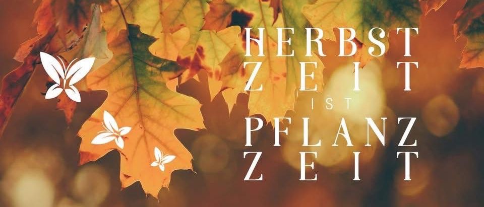 Ein Poster mit Herbstblättern und Schmetterlingen. Es steht 'Herbst ist pflanz zeit' in großen Buchstaben. Der Hintergrund ist unscharf.