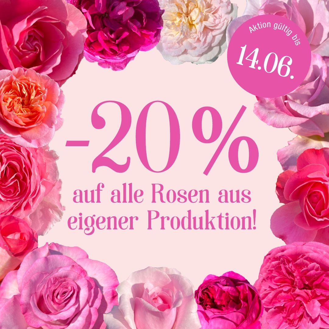 Ein rosa Hintergrund mit mehreren Rosen in verschiedenen Farben. Ein rosa Kreis zeigt 'Aktion gultig bis 14.06' und '-20%' ist in weiß geschrieben.