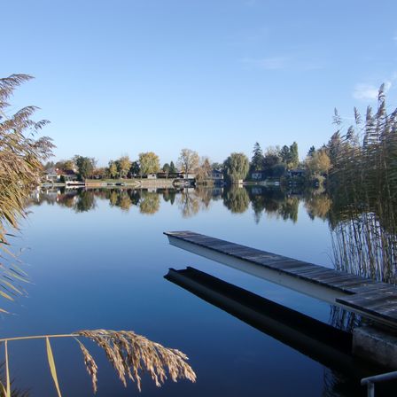 Ein ruhiger See mit einem hölzernen Steg, der sich ins Wasser erstreckt. Bäume und Häuser spiegeln sich in der ruhigen Oberfläche.