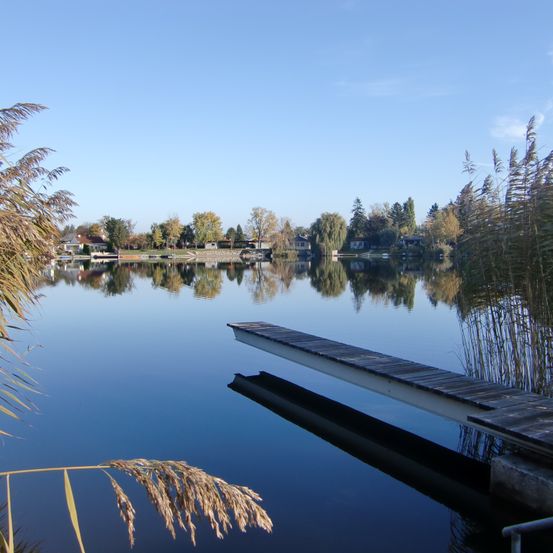 Ein ruhiger See mit einem hölzernen Steg, der sich ins Wasser erstreckt. Bäume und Häuser spiegeln sich in der ruhigen Oberfläche.