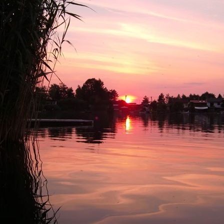 Sonnenuntergang über einem ruhigen See mit Spiegelungen im Wasser, Bäumen und Häusern in der Ferne.