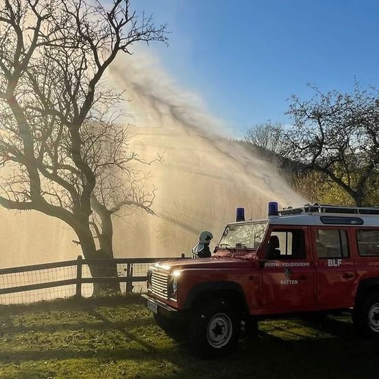 Ein roter Feuerwehrwagen sprüht Wasser aus einem Schlauch in einen Baum, mit einem Zaun und klarem Himmel im Hintergrund.