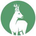 Ein weißer Hirsch mit Geweih steht in einem grünen Kreis. Der Hirsch sieht aufmerksam aus mit aufgestellten Ohren und fokussierten Augen.