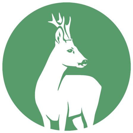 Ein weißer Hirsch mit Geweih steht in einem grünen Kreis. Der Hirsch sieht aufmerksam aus mit aufgestellten Ohren und fokussierten Augen.