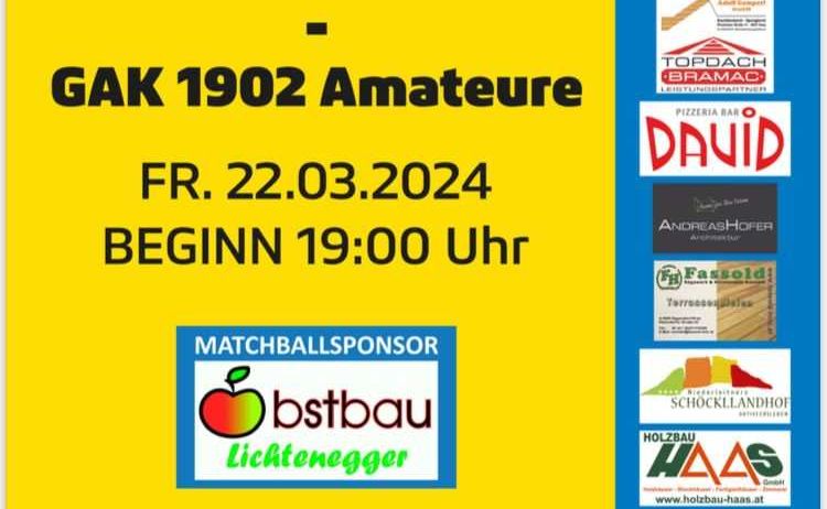 Advertisement, Poster, Ball, Football, Soccer, Soccer Ball, Sport, Person