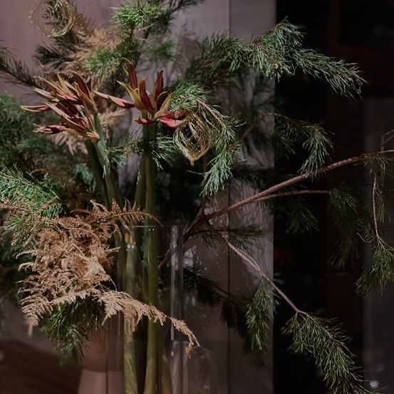 Bild enthält, Plant, Tree, Christmas, Christmas Decorations, Festival, Test Tube