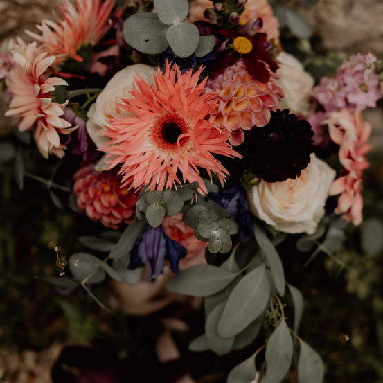 Bild enthält, Flower, Flower Arrangement, Flower Bouquet, Plant, Petal, Rose, Dahlia