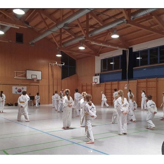 Eine Gruppe von Menschen in weißen Uniformen übt Kampfkunst in einer Turnhalle. Sie stehen in Reihen und machen verschiedene Posen. Die Turnhalle hat Holzwände und Basketballkörbe.