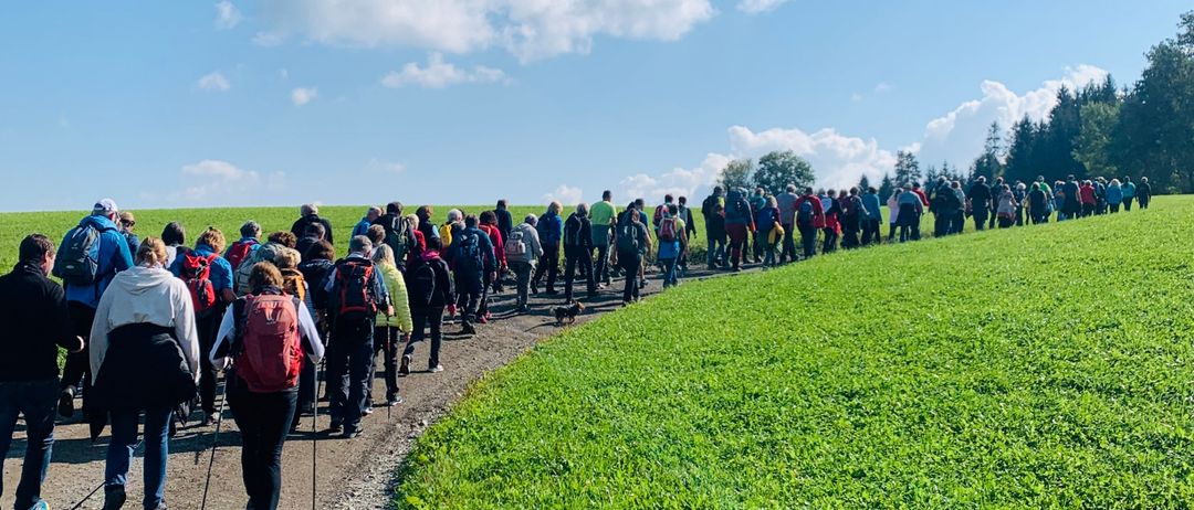 Eine Gruppe Wanderer geht auf einem Kiesweg durch ein saftiges Feld unter einem blauen Himmel mit Wolken.