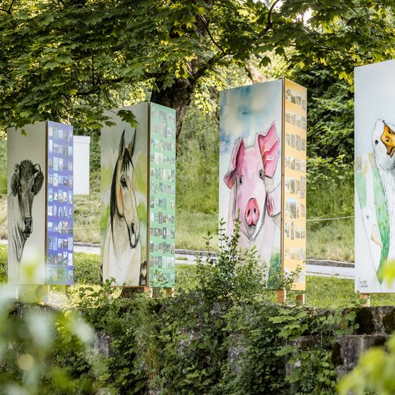 Fünf bemalte Tafeln stehen in einer Reihe und zeigen eine Kuh, ein Pferd, ein Schwein, eine Ente und ein weiteres Tier. Die Tafeln stehen in einem Garten, umgeben von grünen Pflanzen und einem Baum.