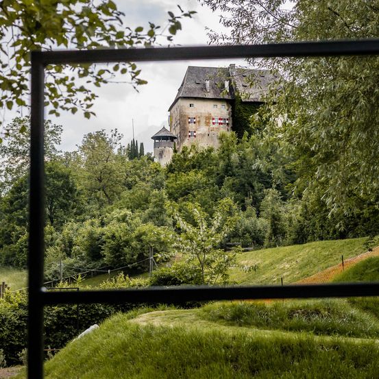 Ein altes Schloss mit einem Turm auf einem Hügel, umgeben von Bäumen und Büschen, unter einem bewölkten Himmel.