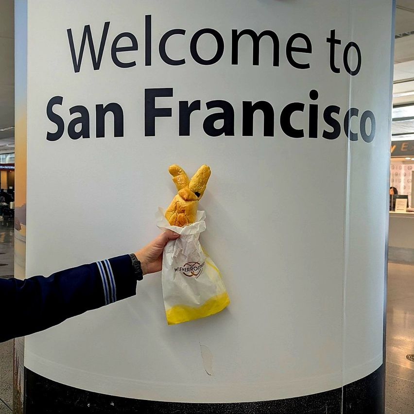 Eine Person hält einen gelben Beutel mit einem donutförmigen Objekt davor vor einem 'Willkommen in San Francisco'-Schild.