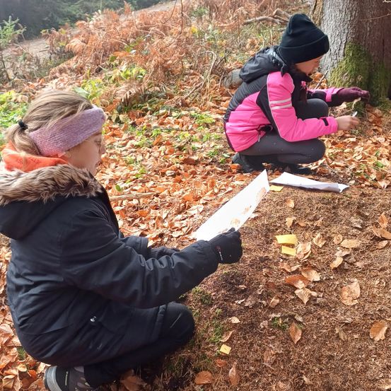 Zwei Mädchen studieren im Wald. Eine kniet und hält ein Papier, die andere steht neben einem Baum mit einem Stift.