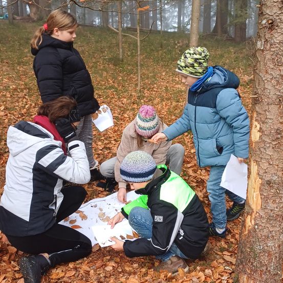 Eine Gruppe von Kindern und einem Erwachsenen untersucht eine Karte auf dem Boden im Wald. Sie sind für kaltes Wetter gekleidet.