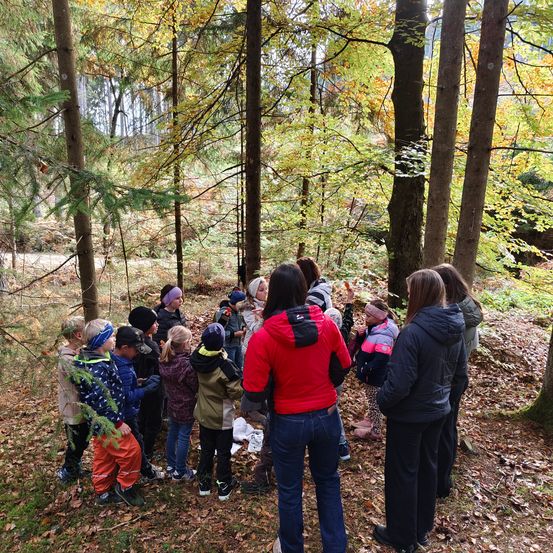 Eine Gruppe von Kindern und Erwachsenen in einem Wald sieht sich etwas vor sich an. Die Erwachsenen tragen Jacken und Hosen, während die Kinder Jacken, Mützen und Turnschuhe tragen. Der Boden ist mit Blättern bedeckt.
