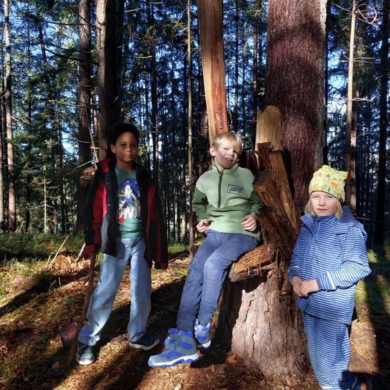 Drei Kinder im Wald, eines sitzt auf einem Baumstumpf, eines steht mit einem Stock und eines steht daneben. Hohe Bäume umgeben sie.