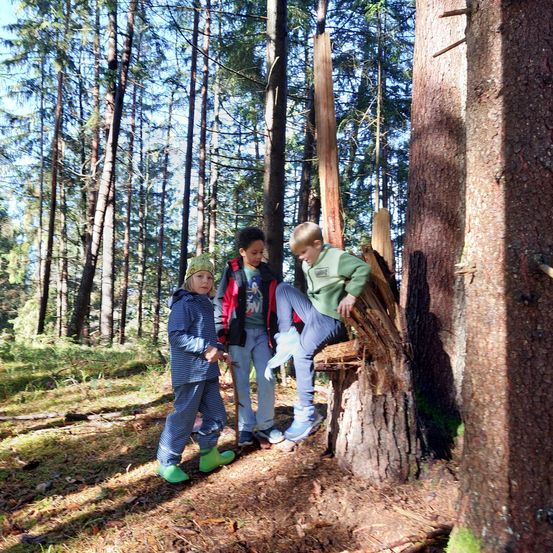 Drei Kinder erkunden einen Wald, eines sitzt auf einem Baumstumpf, ein anderes steht mit einem Stock und das dritte in der Nähe.