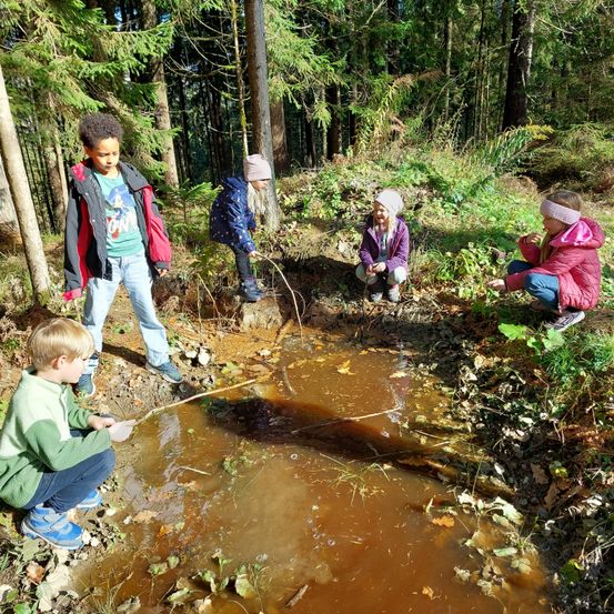 Fünf Kinder in Jacken und Mützen befinden sich in einem Wald und untersuchen einen kleinen Bach. Ein Kind kniet und hält einen Stock. Die anderen stehen herum und beobachten.