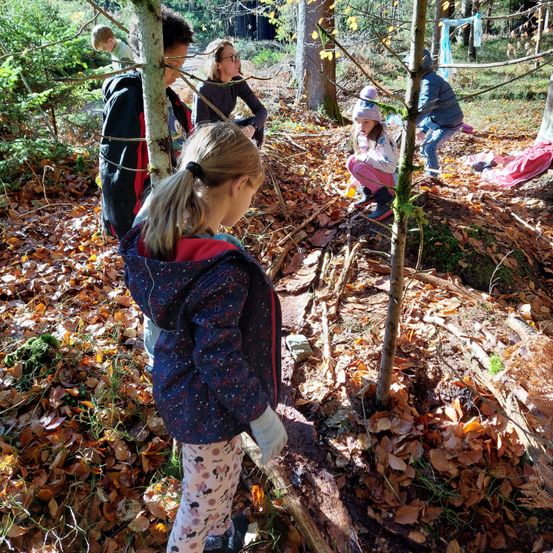Eine Gruppe von Kindern erkundet den Wald. Eines kniet und untersucht etwas am Boden, während andere stehen, einer lehnt sich an einen Baum. Das Gebiet ist mit gefallenen Blättern und kleinen Pflanzen bedeckt.