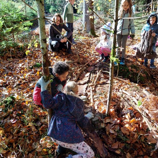 Eine Gruppe von Kindern und Erwachsenen erkundet einen Waldbereich. Einige knien auf dem Boden, während andere stehen. Sie untersuchen etwas am Boden, der mit Blättern bedeckt ist.