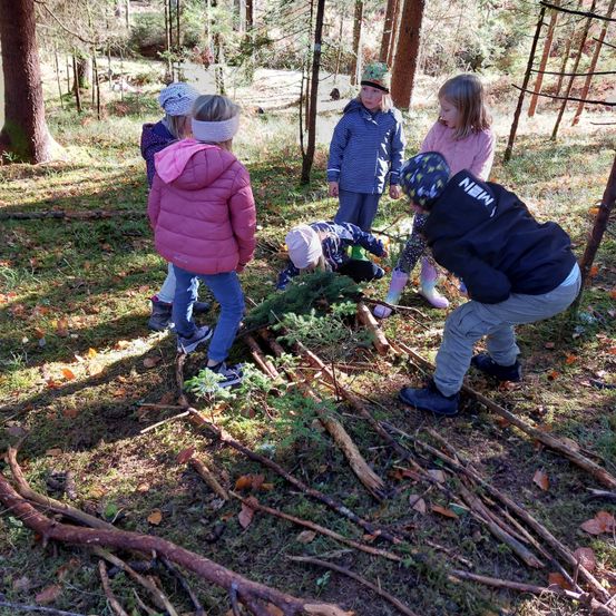 Eine Gruppe von Kindern erkundet einen Wald, einige sind gebeugt und interagieren mit einem kleinen Baum, während andere stehen und beobachten.