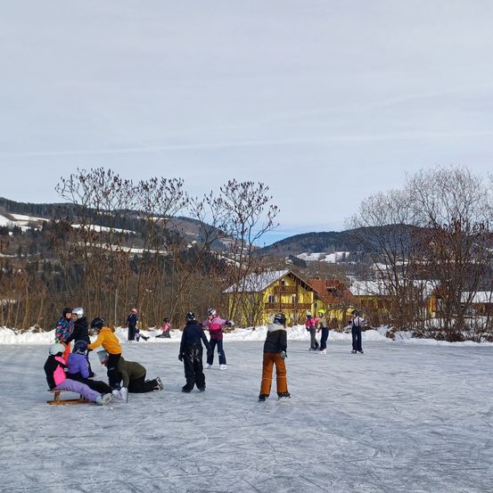 Eine Gruppe von Menschen eisskatet auf einem gefrorenen See mit einem Berg im Hintergrund. Einige sitzen auf Schlitten, während andere stehen und sich an ihnen festhalten.