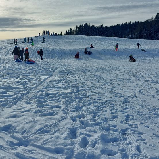 Viele Kinder spielen im Schnee auf einem Hügel. Einige fahren mit Schlitten, während andere rutschen. Einige stehen und andere sitzen. Der Hügel ist von Bäumen umgeben.
