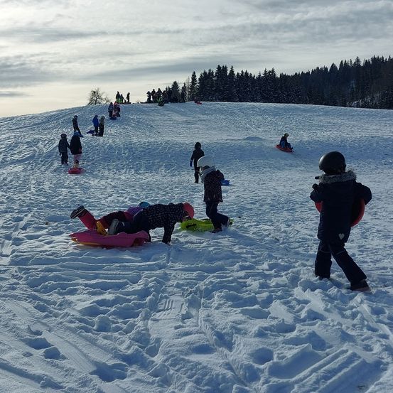 Eine Gruppe von Kindern spielt auf einem verschneiten Hügel. Einige rodeln, andere stehen. Im Hintergrund sind Bäume zu sehen.