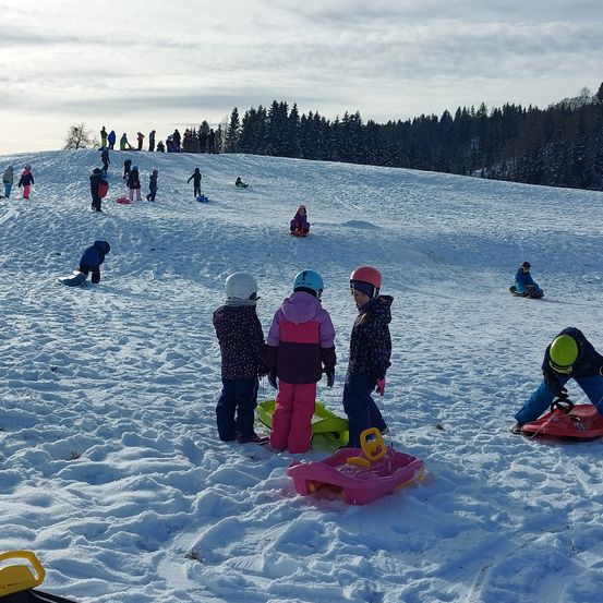 Viele Kinder vergnügen sich beim Schlittenfahren auf einem verschneiten Hang, einige tragen Helme und Handschuhe. Bunte Schlitten sind verstreut, und Tannenbäume sind im Hintergrund zu sehen.