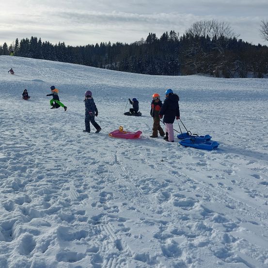 Eine Gruppe von Kindern spielt im Schnee auf einem Hügel, einige benutzen Schlitten und andere sind auf Skiern. Sie tragen alle Helme und warme Kleidung. Im Hintergrund sind Bäume zu sehen.