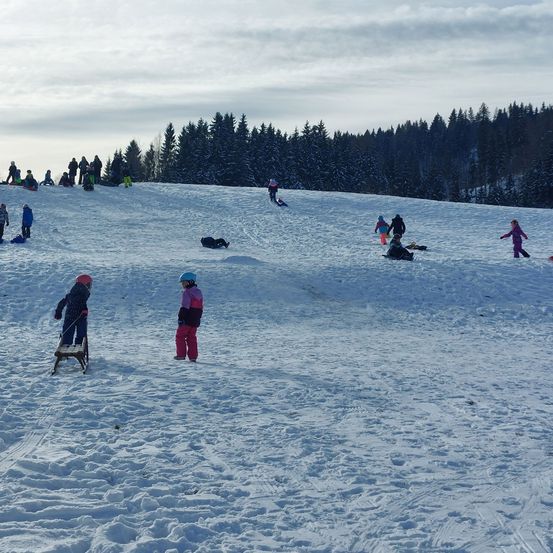 Eine Gruppe von Menschen auf einem verschneiten Hügel beschäftigt sich mit Winteraktivitäten. Einige rodeln die Hänge hinunter, andere stehen und beobachten. Der Himmel ist teilweise bewölkt.