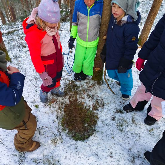 Fünf Kinder, eingehüllt in Winterkleidung, stehen in einem verschneiten Wald und untersuchen etwas am Boden. Sie tragen farbenfrohe Winterkleidung und scheinen an einer Outdoor-Bildungsaktivität teilzunehmen.